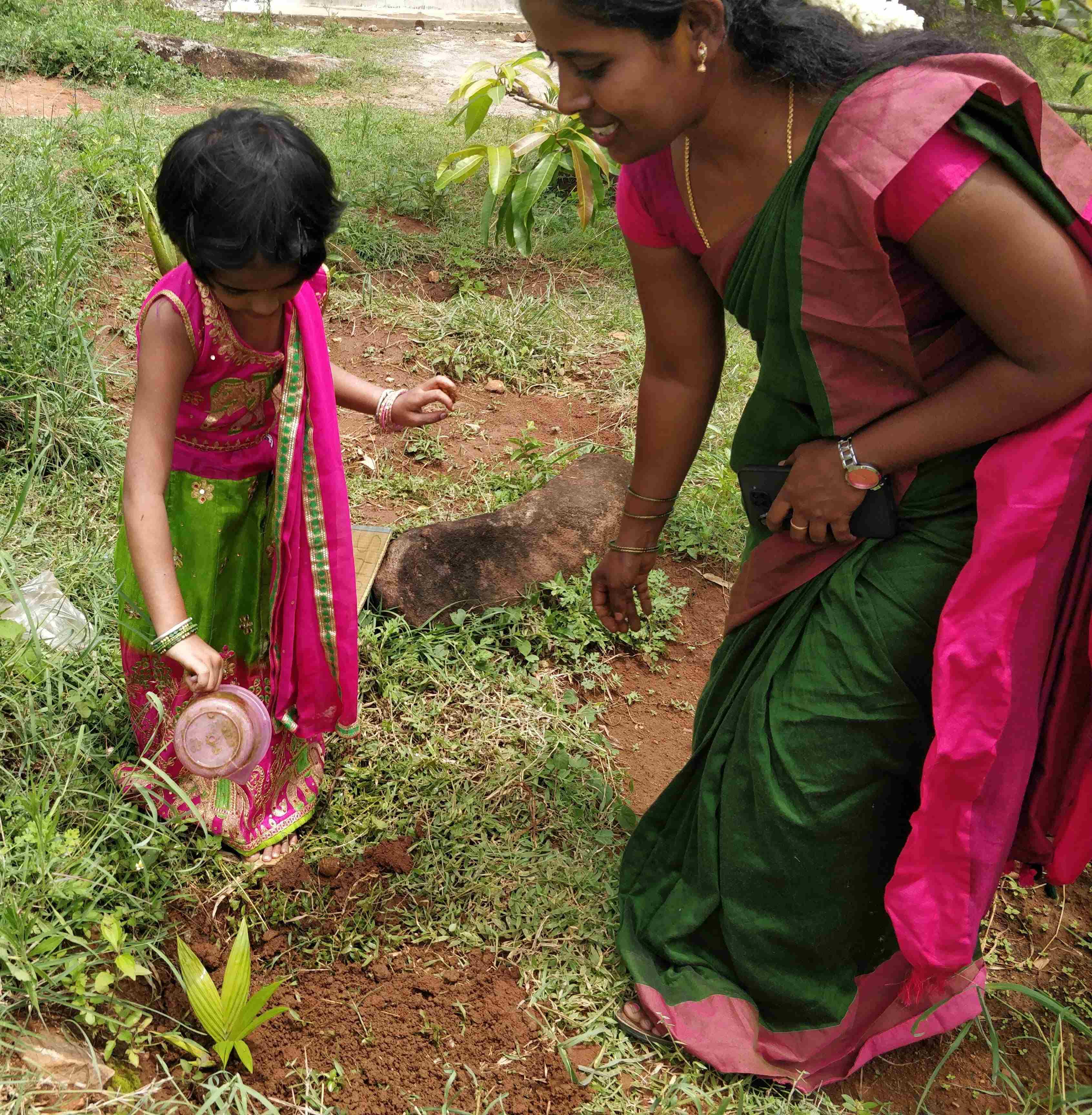 planting sapling